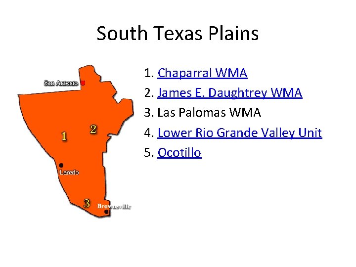 South Texas Plains 1. Chaparral WMA 2. James E. Daughtrey WMA 3. Las Palomas