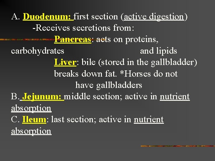 A. Duodenum: first section (active digestion) -Receives secretions from: Pancreas: acts on proteins, carbohydrates