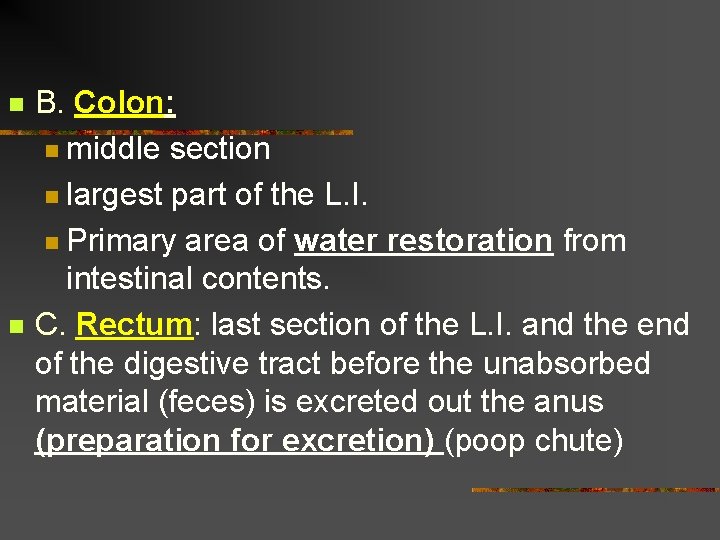 n n B. Colon: n middle section n largest part of the L. I.