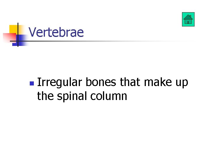 Vertebrae n Irregular bones that make up the spinal column 
