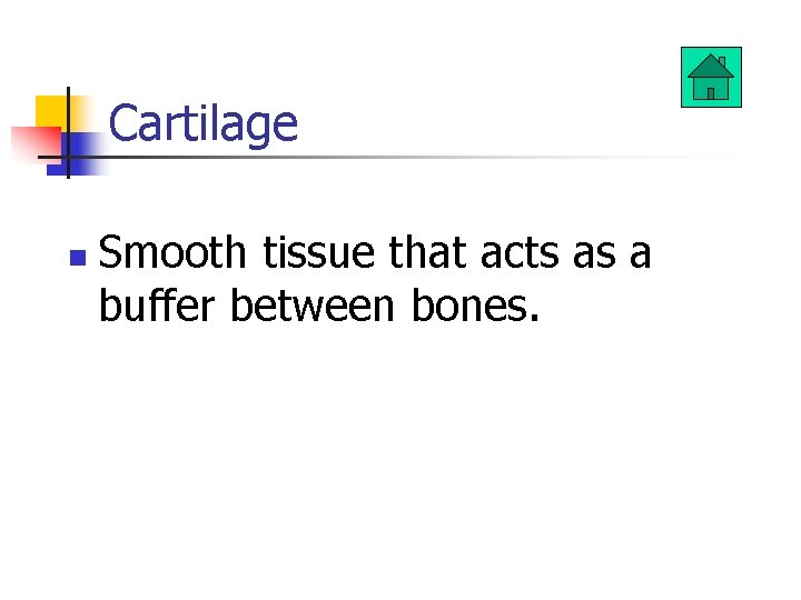 Cartilage n Smooth tissue that acts as a buffer between bones. 