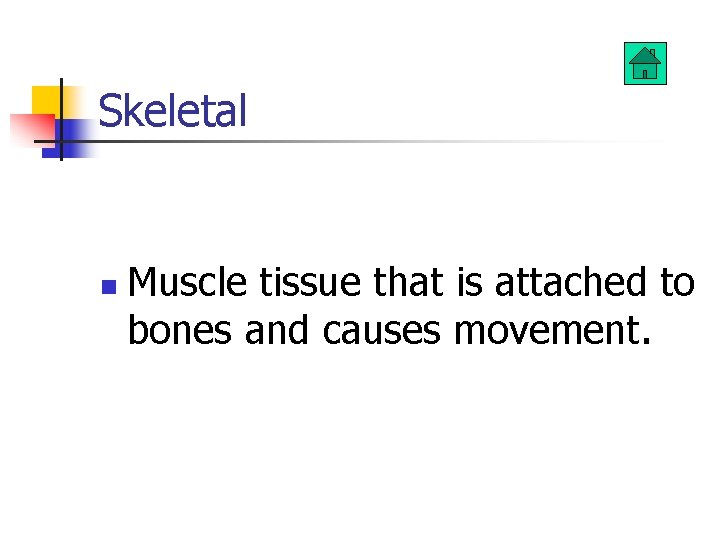Skeletal n Muscle tissue that is attached to bones and causes movement. 