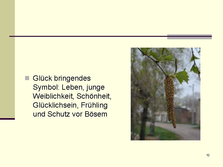 n Glück bringendes Symbol: Leben, junge Weiblichkeit, Schönheit, Glücklichsein, Frühling und Schutz vor Bösem