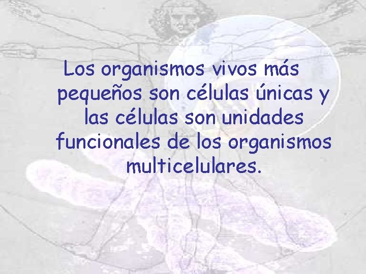 Los organismos vivos más pequeños son células únicas y las células son unidades funcionales Los organismos vivos más pequeños son células únicas y las células son unidades funcionales