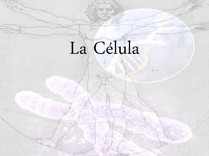 La Célula La Célula