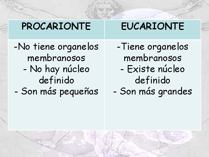PROCARIONTE EUCARIONTE -No tiene organelos membranosos - No hay núcleo definido - Son más PROCARIONTE EUCARIONTE -No tiene organelos membranosos - No hay núcleo definido - Son más