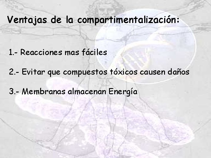 Ventajas de la compartimentalización: 1. - Reacciones mas fáciles 2. - Evitar que compuestos Ventajas de la compartimentalización: 1. - Reacciones mas fáciles 2. - Evitar que compuestos