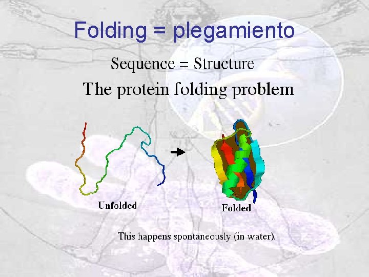 Folding = plegamiento Folding = plegamiento