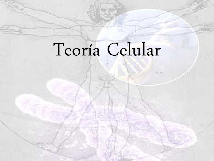 Teoría Celular Teoría Celular