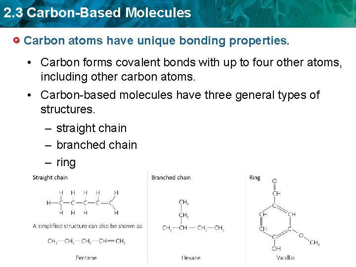 2. 3 Carbon-Based Molecules Carbon atoms have unique bonding properties. • Carbon forms covalent