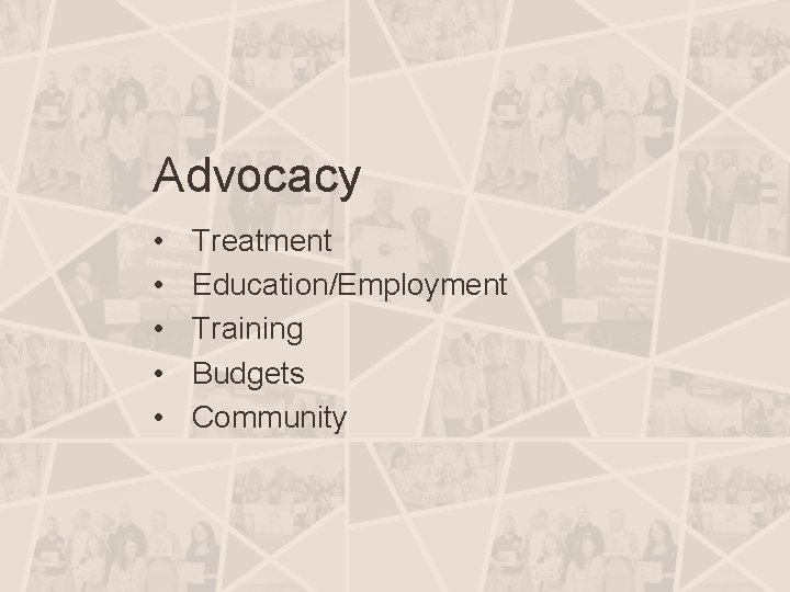 Advocacy • • • Treatment Education/Employment Training Budgets Community 