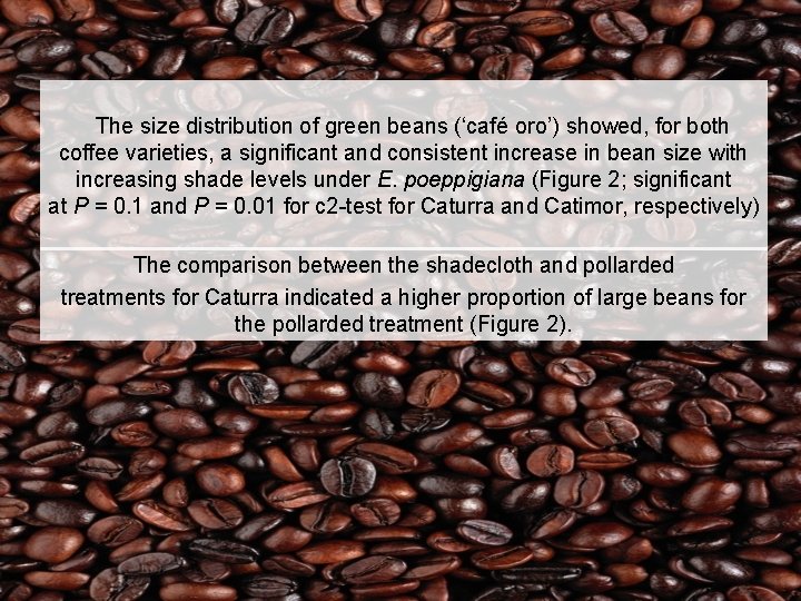 The size distribution of green beans (‘café oro’) showed, for both coffee varieties, a