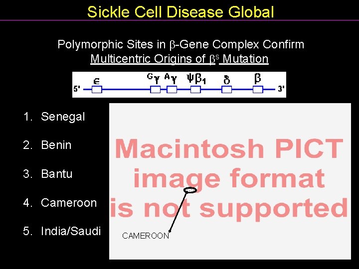 Sickle Cell Disease Global Polymorphic Sites in -Gene Complex Confirm Multicentric Origins of s