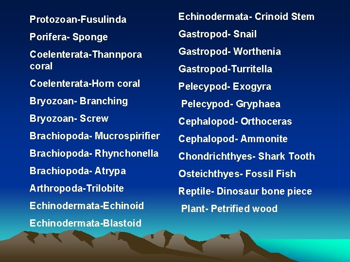 Protozoan-Fusulinda Echinodermata- Crinoid Stem Porifera- Sponge Gastropod- Snail Coelenterata-Thannpora coral Gastropod- Worthenia Coelenterata-Horn coral