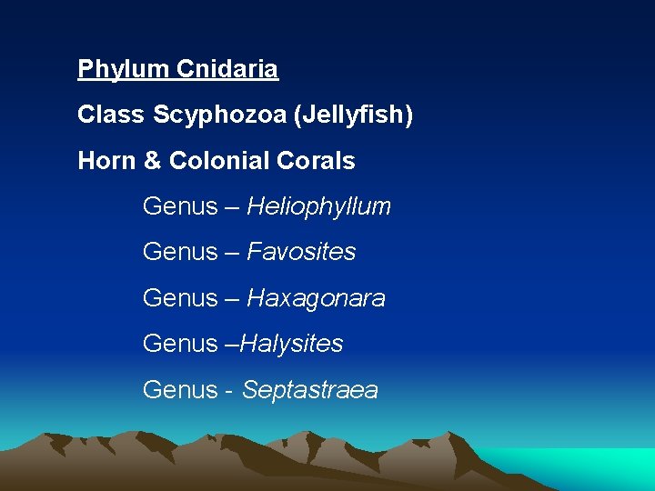 Phylum Cnidaria Class Scyphozoa (Jellyfish) Horn & Colonial Corals Genus – Heliophyllum Genus –