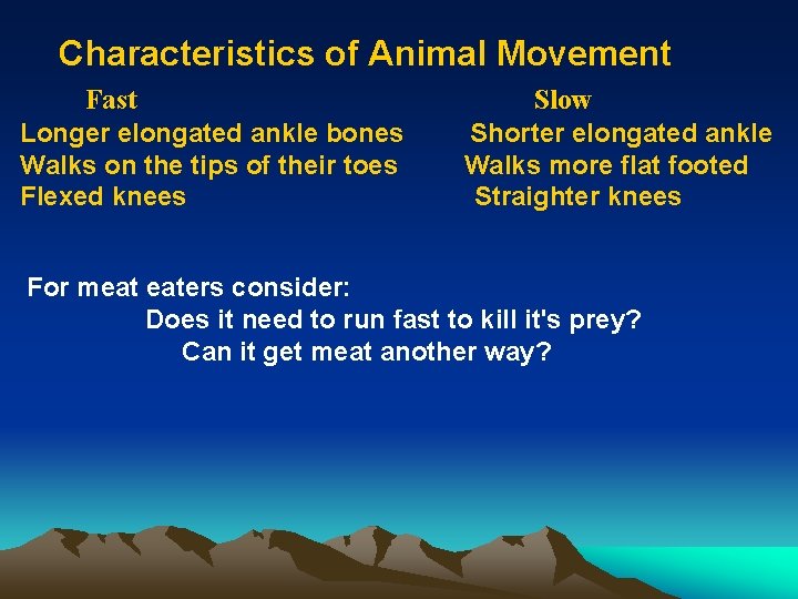 Characteristics of Animal Movement Fast Longer elongated ankle bones Walks on the tips of