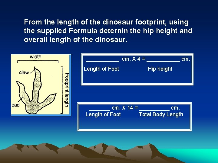 From the length of the dinosaur footprint, using the supplied Formula deternin the hip