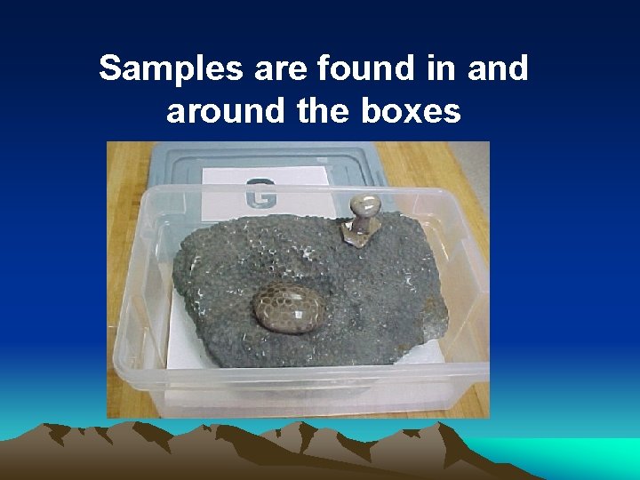 Samples are found in and around the boxes 