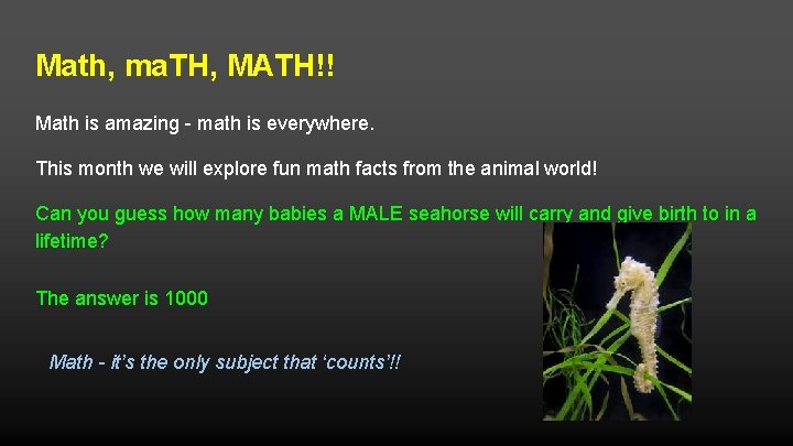 Math, ma. TH, MATH!! Math is amazing - math is everywhere. This month we