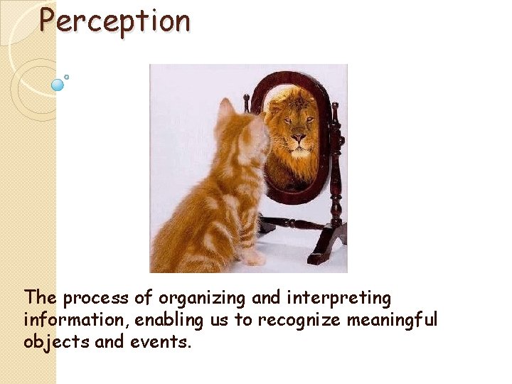 Perception The process of organizing and interpreting information, enabling us to recognize meaningful objects