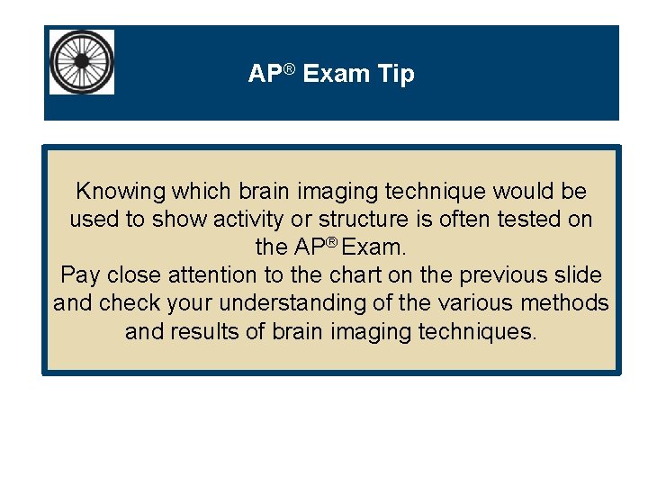 AP® Exam Tip Knowing which brain imaging technique would be used to show activity