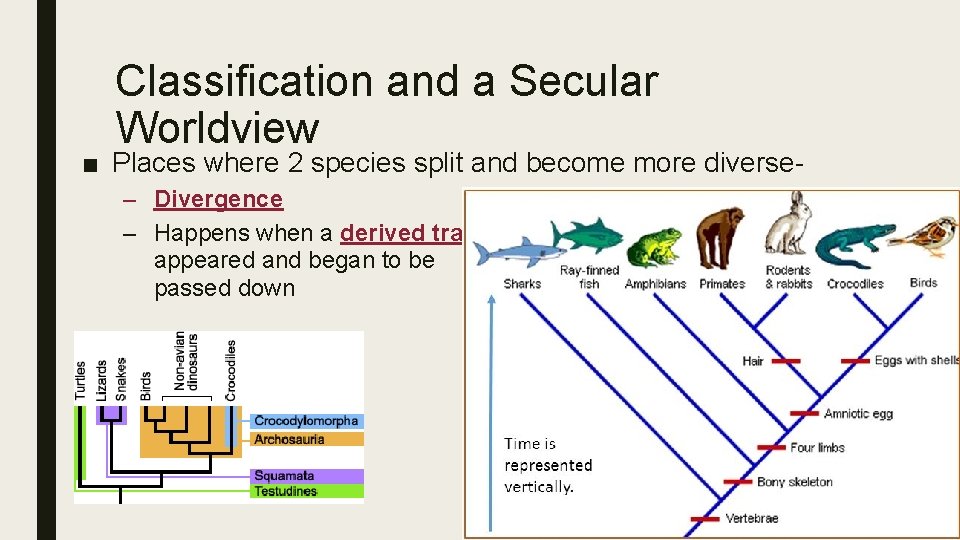 Classification and a Secular Worldview ■ Places where 2 species split and become more