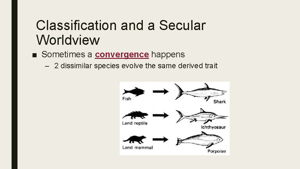 Classification and a Secular Worldview ■ Sometimes a convergence happens – 2 dissimilar species
