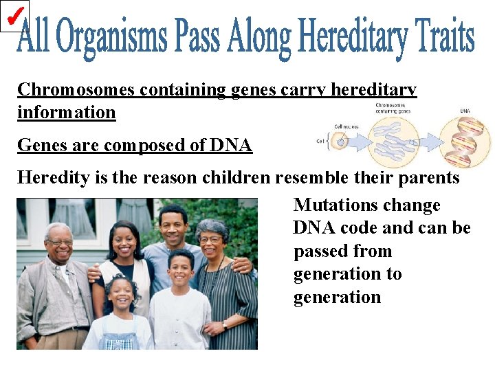 ✓ Chromosomes containing genes carry hereditary information Genes are composed of DNA Heredity is