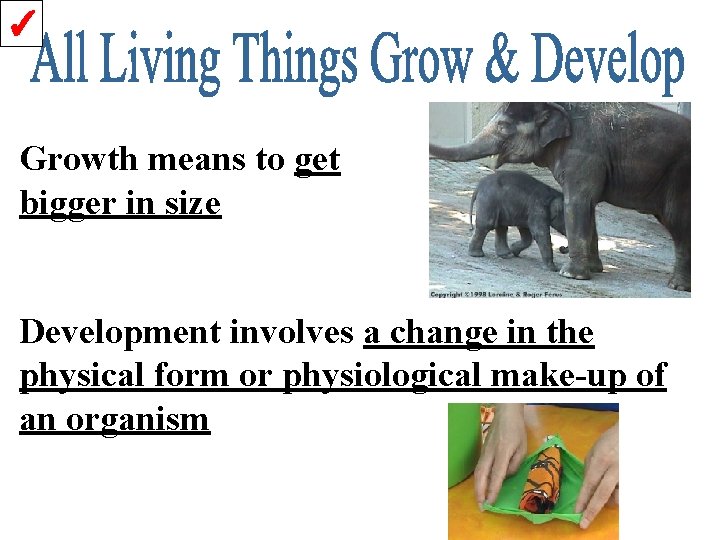 ✓ Growth means to get bigger in size Development involves a change in the