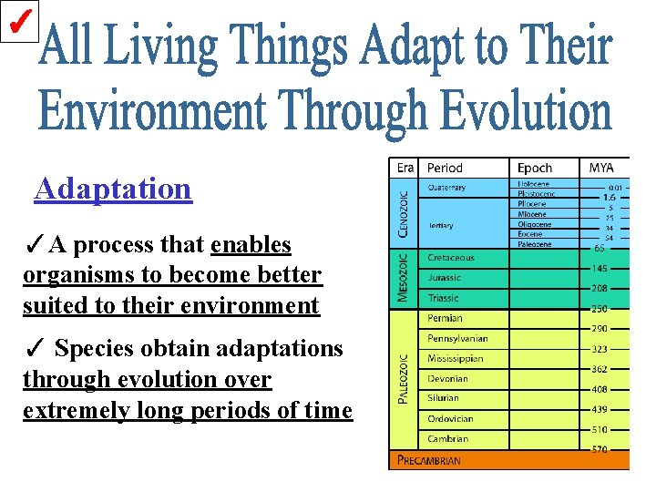 ✓ Adaptation ✓A process that enables organisms to become better suited to their environment