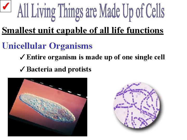 ✓ Smallest unit capable of all life functions Unicellular Organisms ✓Entire organism is made