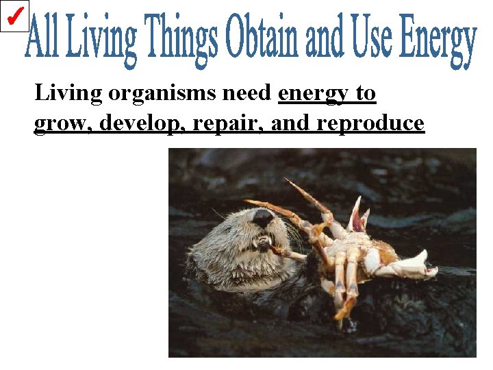 ✓ Living organisms need energy to grow, develop, repair, and reproduce 