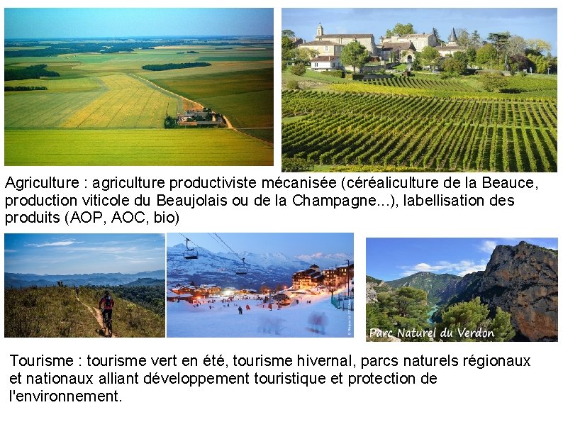 Agriculture : agriculture productiviste mécanisée (céréaliculture de la Beauce, production viticole du Beaujolais ou