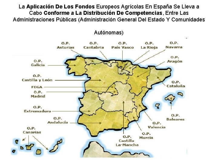 La Aplicación De Los Fondos Europeos Agrícolas En España Se Lleva a Cabo Conforme