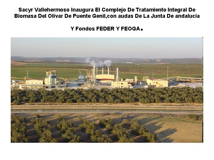 Sacyr Vallehermoso Inaugura El Complejo De Tratamiento Integral De Biomasa Del Olivar De Puente