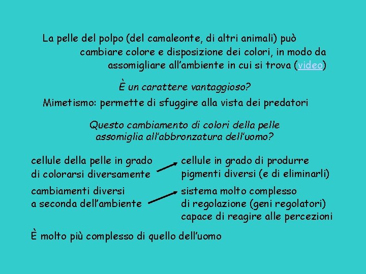 La pelle del polpo (del camaleonte, di altri animali) può cambiare colore e disposizione