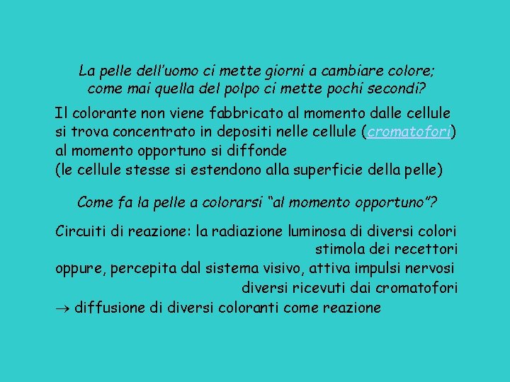 La pelle dell’uomo ci mette giorni a cambiare colore; come mai quella del polpo