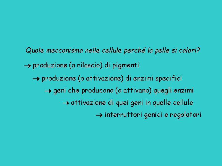 Quale meccanismo nelle cellule perché la pelle si colori? produzione (o rilascio) di pigmenti