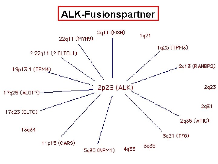 ALK-Fusionspartner 