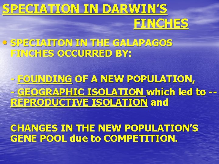SPECIATION IN DARWIN’S FINCHES • SPECIAITON IN THE GALAPAGOS FINCHES OCCURRED BY: - FOUNDING