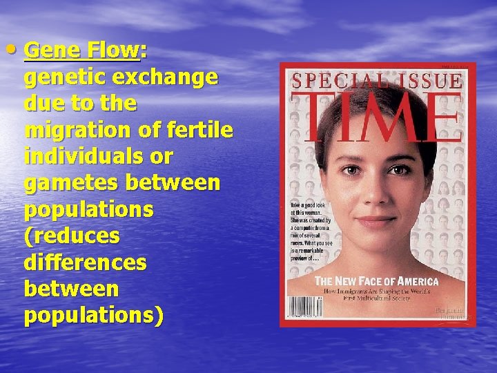  • Gene Flow: genetic exchange due to the migration of fertile individuals or