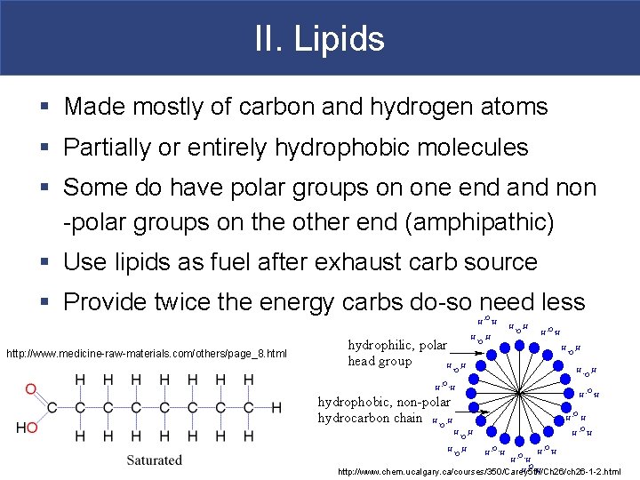 II. Lipids § Made mostly of carbon and hydrogen atoms § Partially or entirely