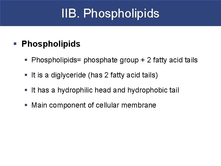 IIB. Phospholipids § Phospholipids= phosphate group + 2 fatty acid tails § It is