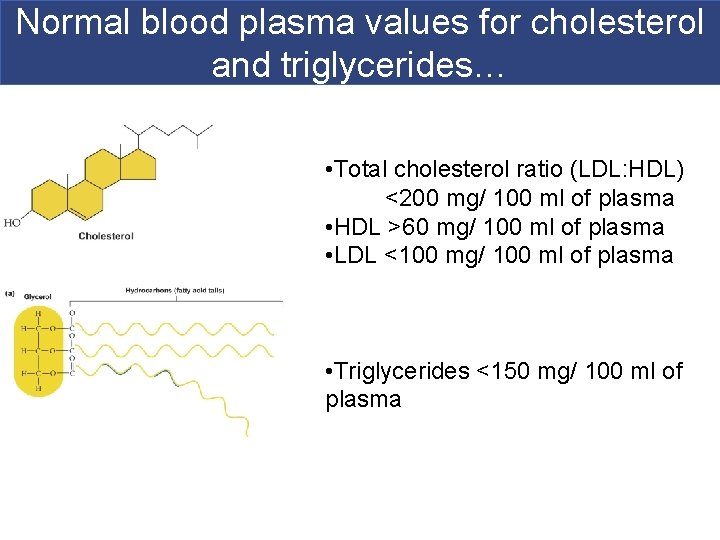 Normal blood plasma values for cholesterol and triglycerides… • Total cholesterol ratio (LDL: HDL)