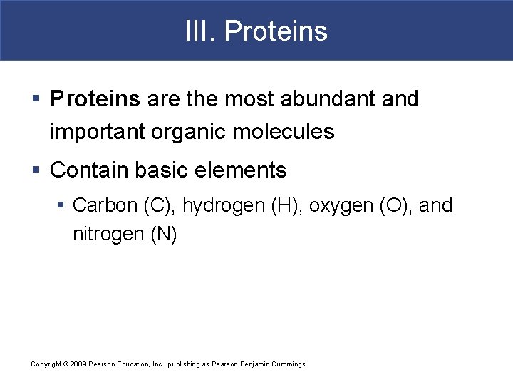 III. Proteins § Proteins are the most abundant and important organic molecules § Contain