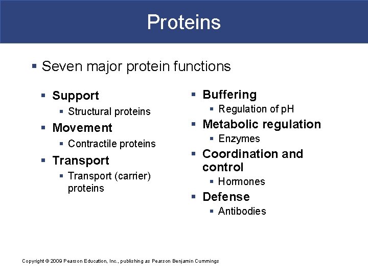 Proteins § Seven major protein functions § Support § Structural proteins § Movement §