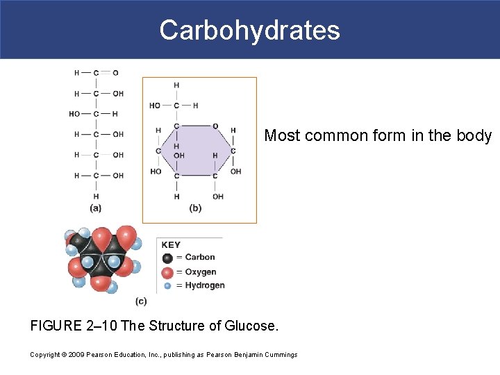 Carbohydrates Most common form in the body FIGURE 2– 10 The Structure of Glucose.