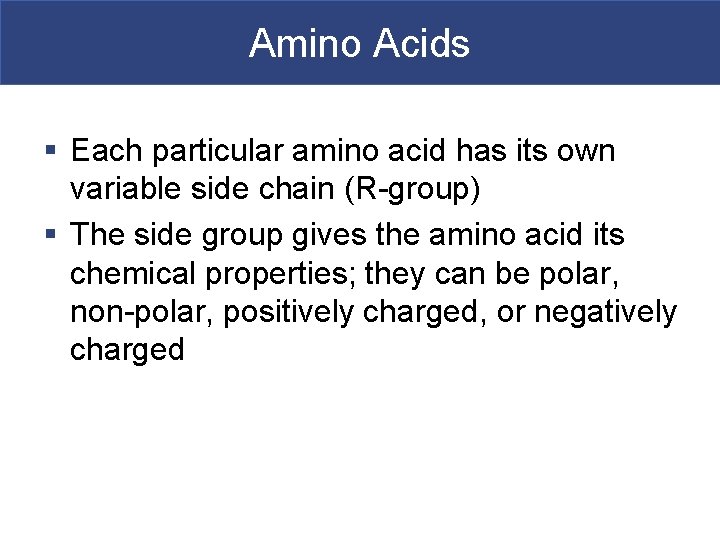 Amino Acids § Each particular amino acid has its own variable side chain (R-group)