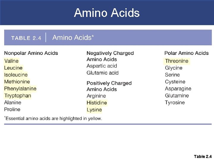 Amino Acids Table 2. 4 