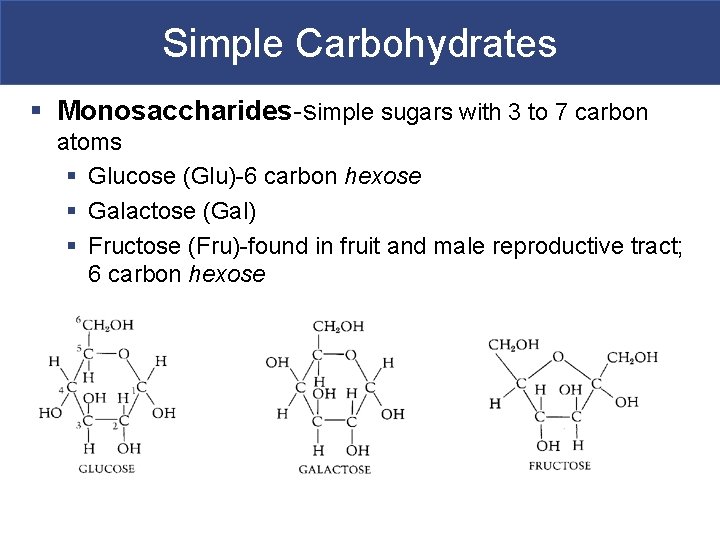 Simple Carbohydrates § Monosaccharides-simple sugars with 3 to 7 carbon atoms § Glucose (Glu)-6